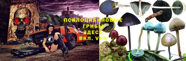 MDMA Premium VHQ Аркадак